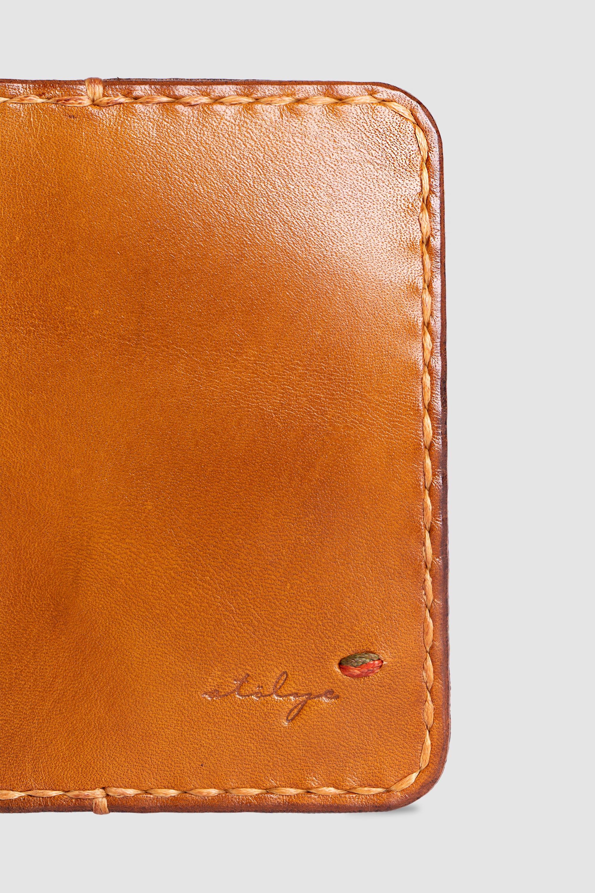 Dikey Deri Kartlık - Negev