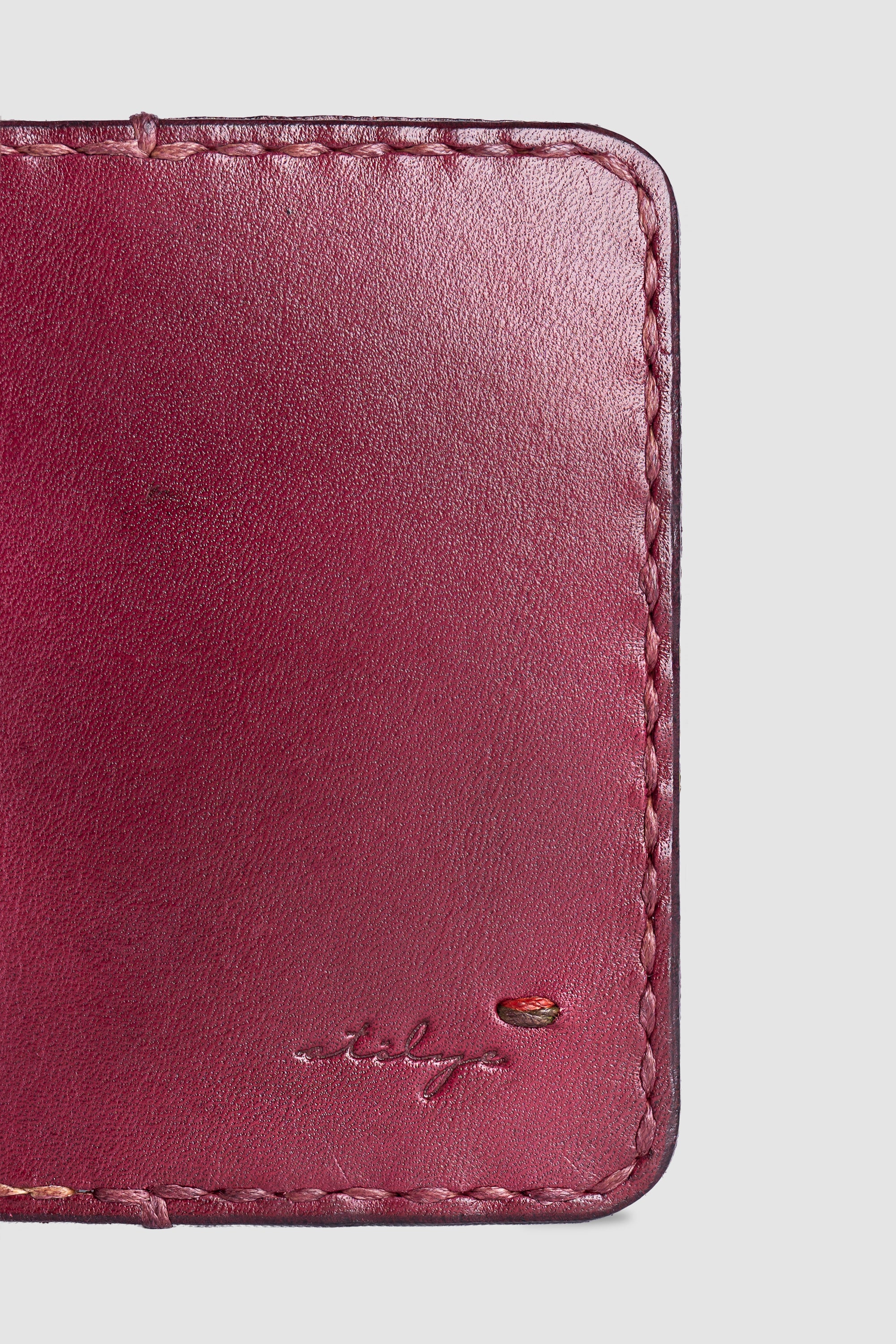 Dikey Deri Kartlık - Negev